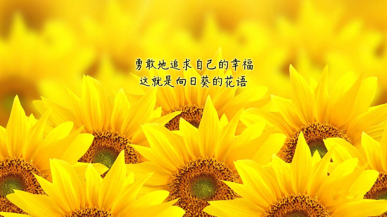 抖音买点赞-dy点赞充值秒到账-快速增加粉丝